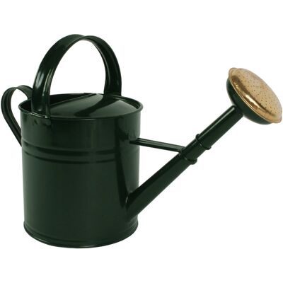 Talen Tools - gieter - metaal - 5l - groen Talen Tools - gieter - metaal - 5l - groen