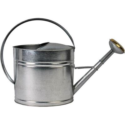 Talen Tools - gieter - verzinkt staal - met broeskop - 8 liter Talen Tools - gieter - verzinkt staal - met broeskop - 8 liter