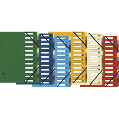 Exacompta sorteermap harmonika® met uitrekbare rug en uitgesneden vensters - 12 indelingen - geassorteerd - 5312e Exacompta sorteermap harmonika® met uitrekbare rug en uitgesneden vensters - 12 indelingen - geassorteerd - 5312e