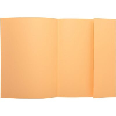 Exacompta super 210 - pak van 50 dossiermappen met 1 klep - 24x32cm - gems - 339002e Exacompta super 210 - pak van 50 dossiermappen met 1 klep - 24x32cm - gems - 339002e