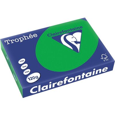 Clairefontaine Troph biljartgr a4 120gr 250v Clairefontaine Troph biljartgr a4 120gr 250v