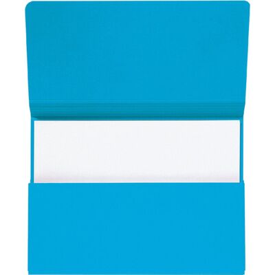 Jalema pocketmap zuurvrij secolor 1-300 vel, blauw, folio (pak 10 stuks) Jalema pocketmap zuurvrij secolor 1-300 vel, blauw, folio (pak 10 stuks)