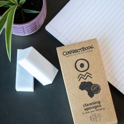 Correctbook schoonmaaksponsjes Correctbook schoonmaaksponsjes