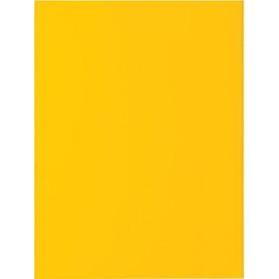Exacompta rock''s 80 - pak van 100 inlegmappen 22x31cm voor a4 - citroengeel - 800011e Exacompta rock''s 80 - pak van 100 inlegmappen 22x31cm voor a4 - citroengeel - 800011e