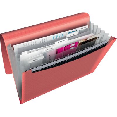 Esselte colour'breeze a4 uitzetbare projectmap - organiser met 5 tabbladen/6 vakken - koraal Esselte colour'breeze a4 uitzetbare projectmap - organiser met 5 tabbladen/6 vakken - koraal