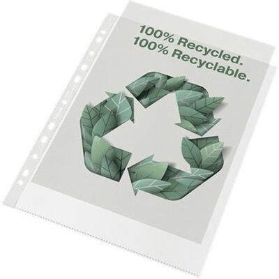 Esselte 100% gerecyclede pp a4 maxi showtas - 70 micron - 50x transparante insteekhoezen - ideaal voor thuiskantoor Esselte 100% gerecyclede pp a4 maxi showtas - 70 micron - 50x transparante insteekhoezen - ideaal voor thuiskantoor