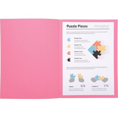Exacompta super 160 - pak van 100 dossiermappen 160g/m2- 24x32 cm voor a4. - roze - 340003e Exacompta super 160 - pak van 100 dossiermappen 160g/m2- 24x32 cm voor a4. - roze - 340003e