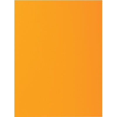 Exacompta rock''s 80 - pak van 100 inlegmappen 22x31cm voor a4 - oker - 800026e Exacompta rock''s 80 - pak van 100 inlegmappen 22x31cm voor a4 - oker - 800026e