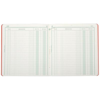 Exacompta standaard register ontvangsten - uitgaven - 80 blad - geassorteerd - 930e Exacompta standaard register ontvangsten - uitgaven - 80 blad - geassorteerd - 930e