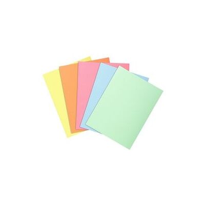 Exacompta 850100E Pastel A4 Mappe - 10 Stuks Exacompta 850100E Pastel A4 Mappe - 10 Stuks