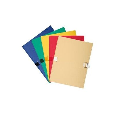 Groeimap Exacompta 2230000E karton A4 24x32cm gekleurd Groeimap Exacompta 2230000E karton A4 24x32cm gekleurd