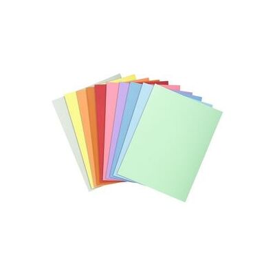 Sorteermap Exacompta 330000E karton Kleurenassortiment Sorteermap Exacompta 330000E karton Kleurenassortiment