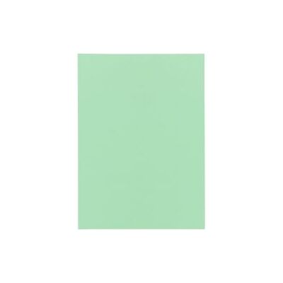 Sorteermap Bangali Exacompta 85004E kringlooppapier 60g/m2 31x22cm felgroen Sorteermap Bangali Exacompta 85004E kringlooppapier 60g/m2 31x22cm felgroen