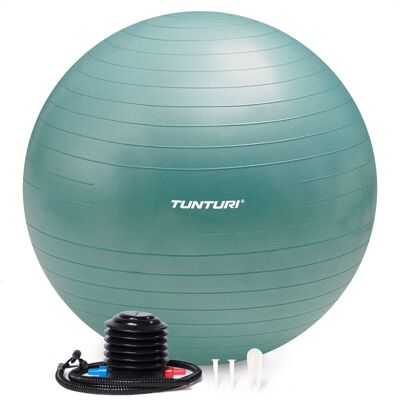 Tunturi - Anti Burst Fitness Ball - 55cm - Fitnessbal Tunturi - Anti Burst Fitness Ball - 55cm - Fitnessbal