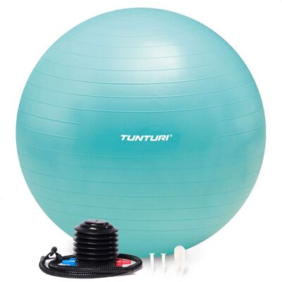 Tunturi anti burst fitness bal met pomp - yoga bal 90 cm - pilates bal - zwangerschapsbal - 220 kg gebruikersgewicht - incl trainingsapp - turquoise Tunturi anti burst fitness bal met pomp - yoga bal 90 cm - pilates bal - zwangerschapsbal - 220 kg gebruikersgewicht - incl trainingsapp - turquoise