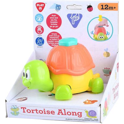 PlayGo Schildpad Multikleur - Speelgoed schildpad PlayGo Schildpad Multikleur - Speelgoed schildpad