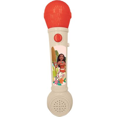 Lexibook Verlichtingsmicrofoon met melodieën en geluidseffecten Lexibook Verlichtingsmicrofoon met melodieën en geluidseffecten