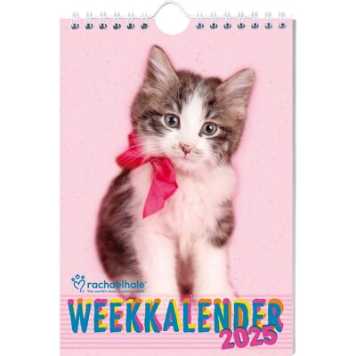 Interstat Week kalender - 2025 - rachael hale - katten Interstat Week kalender - 2025 - rachael hale - katten