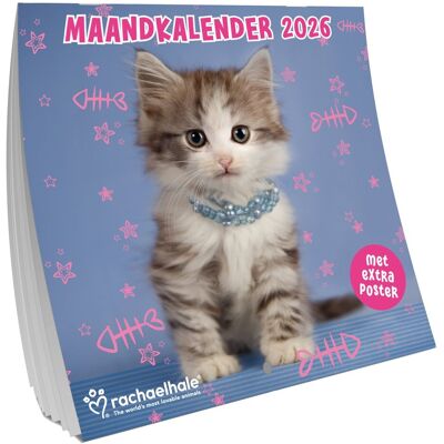 Interstat Rachael hale katten kalender 2026 Interstat Rachael hale katten kalender 2026