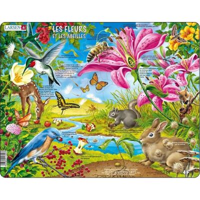 Larsen les fleurs et les abeilles - puzzle - nature - pollinisation et écosystèmes - puzzle éducatif pour enfants - 69 pièces - fabriqué en norvège - pièces extra épaisses de 2,5 mm - plateau avec bord fixe Larsen les fleurs et les abeilles - puzzle - nature - pollinisation et écosystèmes - puzzle éducatif pour enfants - 69 pièces - fabriqué en norvège - pièces extra épaisses de 2,5 mm - plateau avec bord fixe