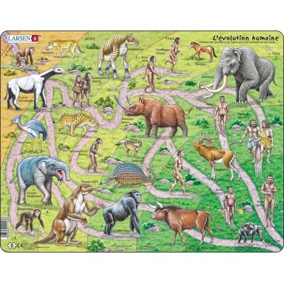 Larsen évolution des singes à l'homme - puzzle - préhistoire - évolution humaine - puzzle éducatif pour enfants - 83 pièces - fabriqué en norvège - pièces extra épaisses de 2,5 mm - plateau avec bord fixe Larsen évolution des singes à l'homme - puzzle - préhistoire - évolution humaine - puzzle éducatif pour enfants - 83 pièces - fabriqué en norvège - pièces extra épaisses de 2,5 mm - plateau avec bord fixe