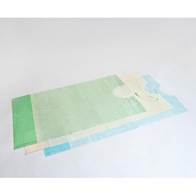 Gohy Bavoirs jetables avec col rond et poche - 3 plis 38 x 70 cm - 12 pakken van 100 slabben Gohy Bavoirs jetables avec col rond et poche - 3 plis 38 x 70 cm - 12 pakken van 100 slabben