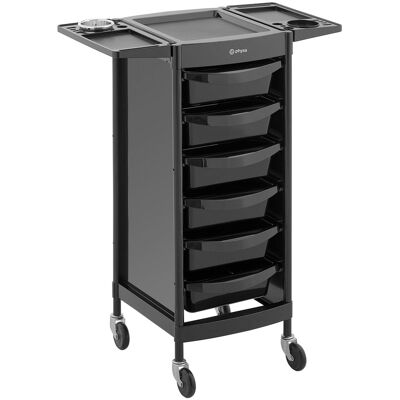physa Kappers trolley - 12 kg - 6 lades met 3 verdelers - föhnhouder - 420 x 390 mm plank 10040539 physa Kappers trolley - 12 kg - 6 lades met 3 verdelers - föhnhouder - 420 x 390 mm plank 10040539
