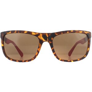 Guess Raad rechthoek heren donkere havana bruine gepolariseerde zonnebril One Size Guess Raad rechthoek heren donkere havana bruine gepolariseerde zonnebril One Size
