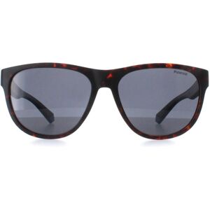 Polaroid PLD 2156/S HGC UC mat havana blauw grijs gepolariseerde zonnebril One Size Polaroid PLD 2156/S HGC UC mat havana blauw grijs gepolariseerde zonnebril One Size