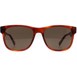 Banana Republic Havana Honey Brown Zonnebril - BR 4008/S C9B 70 - Zonnebril Banana Republic Havana Honey Brown Zonnebril - BR 4008/S C9B 70 - Zonnebril