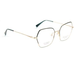 Ana Hickmann Optical Frame HI1261GT 12A 52 Titanium One Size Ana Hickmann Optical Frame HI1261GT 12A 52 Titanium One Size
