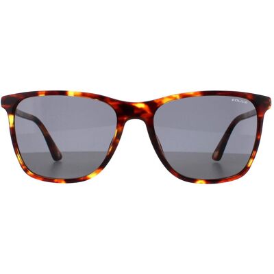 Police SPLD45 Origins 46 08XW medium shiny havana grijs groene zonnebril One Size Police SPLD45 Origins 46 08XW medium shiny havana grijs groene zonnebril One Size