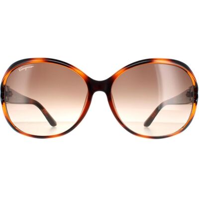 Salvatore Ferragamo Model SF770SA Bruin Gradient Zonnebril - Zonnebril Salvatore Ferragamo Model SF770SA Bruin Gradient Zonnebril - Zonnebril
