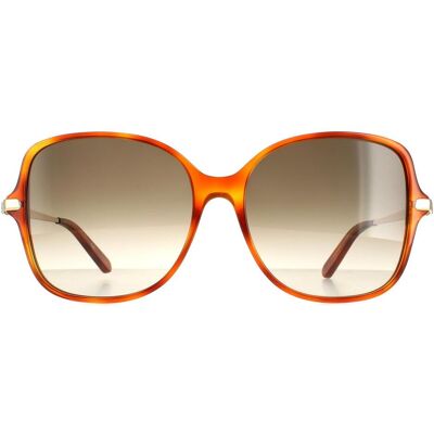 Salvatore Ferragamo zonnebril SF990SR 214 Tortoise grijze gradiënt One Size Salvatore Ferragamo zonnebril SF990SR 214 Tortoise grijze gradiënt One Size