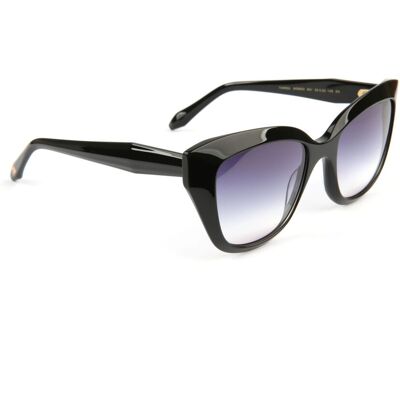 Ana Hickmann Sunglasses AH9454 A01 53 One Size Ana Hickmann Sunglasses AH9454 A01 53 One Size