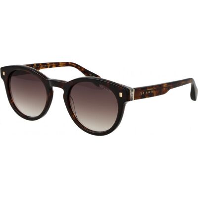Ted Baker TB1752 Dax 119 klassieke tortoise bruin gradiënt zonnebril One Size Ted Baker TB1752 Dax 119 klassieke tortoise bruin gradiënt zonnebril One Size