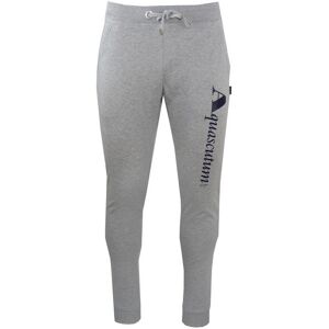 Aquascutum Heren Joggingbroek met logo (Grijs) 2XL Aquascutum Heren Joggingbroek met logo (Grijs) 2XL