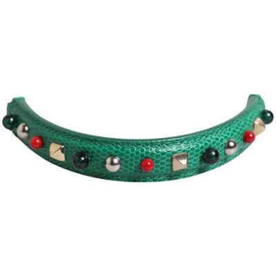 Dolce & Gabbana Groene Versierde Leren Handtas Hengsel Dames Schouderband One Size Dolce & Gabbana Groene Versierde Leren Handtas Hengsel Dames Schouderband One Size