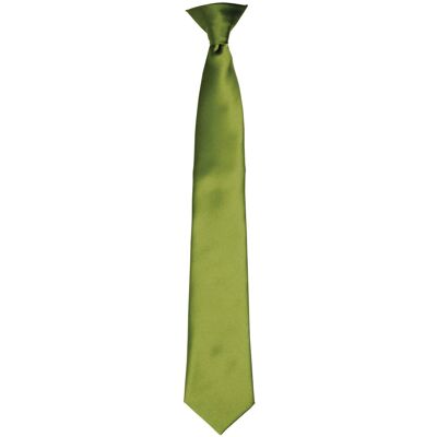 Premier Kleuren Heren Satin Clip Tie (Oase Groen) One Size Premier Kleuren Heren Satin Clip Tie (Oase Groen) One Size
