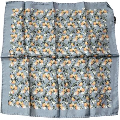 Dolce & Gabbana Grijze Sinaasappels Zijden Vierkante Zakdoek Sjaal One Size Dolce & Gabbana Grijze Sinaasappels Zijden Vierkante Zakdoek Sjaal One Size