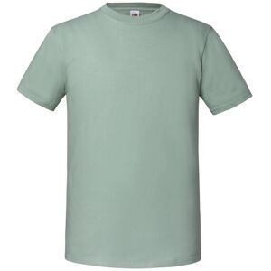 Fruit of the Loom Heren Iconic Premium Ringspun Katoen T-Shirt (Salie) S Fruit of the Loom Heren Iconic Premium Ringspun Katoen T-Shirt (Salie) S