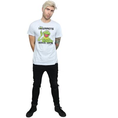 Disney Heren The Muppets Kermit sinds 1978 T-Shirt (Heide Grijs) L Disney Heren The Muppets Kermit sinds 1978 T-Shirt (Heide Grijs) L