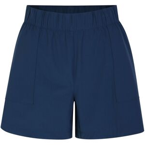 Dare 2B Dames/Dames Rapport Korte Broek (Maanlicht Denim) 48 Dare 2B Dames/Dames Rapport Korte Broek (Maanlicht Denim) 48