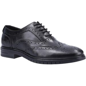 Hush Puppies Heren Santiago Leren Brogues (Zwart) 43 Hush Puppies Heren Santiago Leren Brogues (Zwart) 43