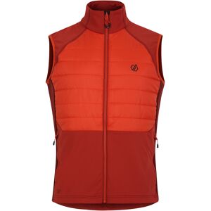 Dare 2B Heren Aflopend Gilet (Kaneel / Toscaans rood) L Dare 2B Heren Aflopend Gilet (Kaneel / Toscaans rood) L
