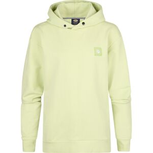 Petrol Industries - Jongens Hoodie Tropical - Groen 10J / 140cm Petrol Industries - Jongens Hoodie Tropical - Groen 10J / 140cm