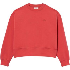 Lacoste Dames/dames Oversized Sweatshirt (Rood) 38 Lacoste Dames/dames Oversized Sweatshirt (Rood) 38
