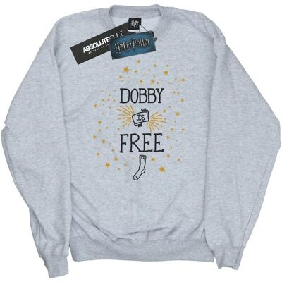 Harry Potter Dames/Dames Dobby Is Free Katoenen Sweatshirt (Heide Grijs) 2XL Harry Potter Dames/Dames Dobby Is Free Katoenen Sweatshirt (Heide Grijs) 2XL