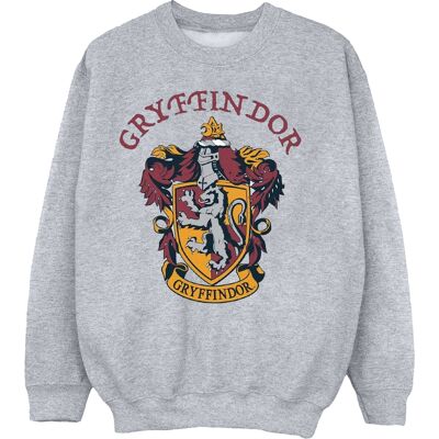 Harry Potter Jongens Gryffindor Katoenen Sweatshirt (Sportgrijs) 7-8J / 122-128cm Harry Potter Jongens Gryffindor Katoenen Sweatshirt (Sportgrijs) 7-8J / 122-128cm