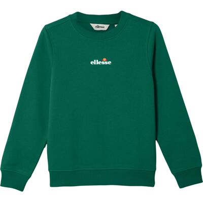 Ellesse Jongens Fairros 2 Sweater (Donkergroen) 10-11J / 140-146cm Ellesse Jongens Fairros 2 Sweater (Donkergroen) 10-11J / 140-146cm